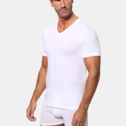 Camiseta Abanderado A0508